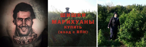 мдпв Медногорск