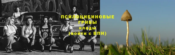 мескалин Мегион