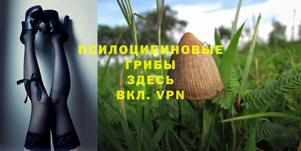 мдпв Медногорск