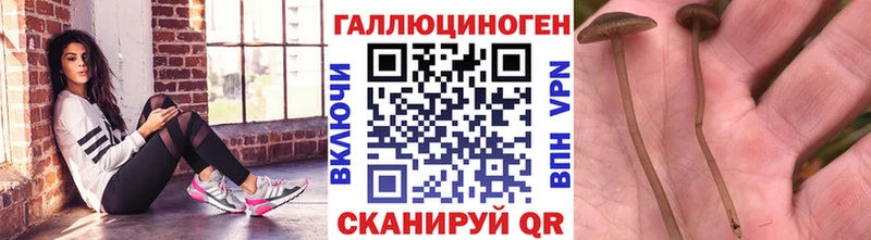 Псилоцибиновые грибы прущие грибы  наркота  Шумерля 