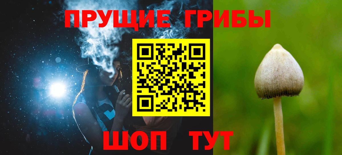 Шумерля  Псилоцибиновые грибы Psilocybine cubensis  Вход с VPN 